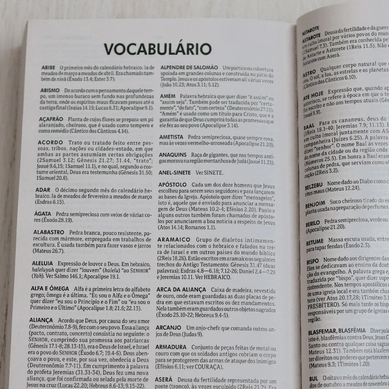 Bíblia Sagrada | NTLH | Salvos Pela Graça | Brochura